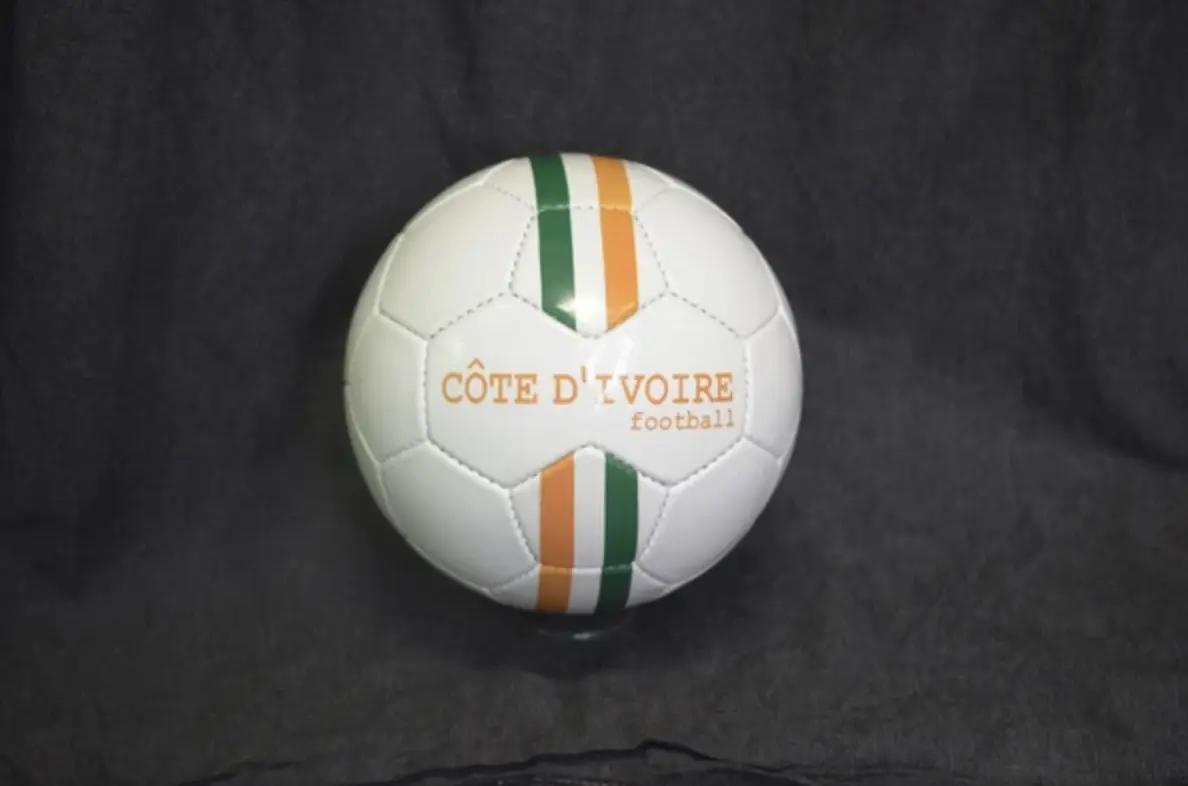 Les compétitions les plus réussies de l'histoire de la sélection de Côte d'Ivoire